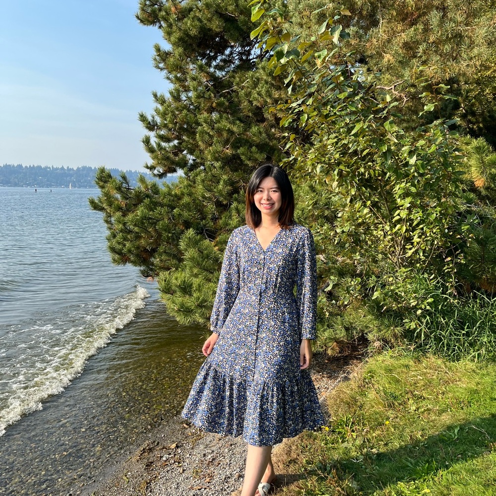 Uniqlo Blue Ruffled Tiered Long Sleeve Sundress